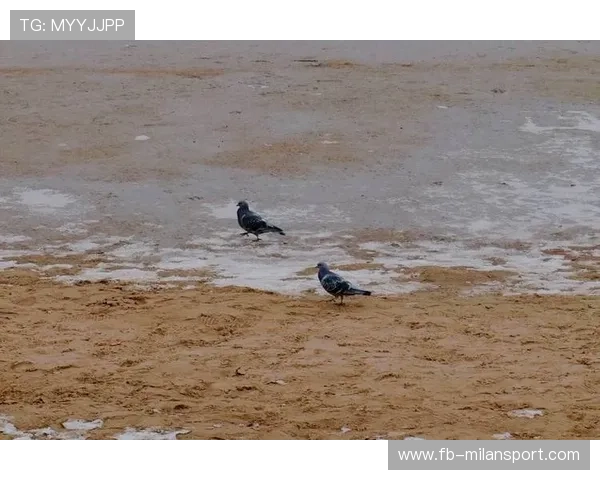 “山谷飞驰：陡峭赛段的速度激情”，山谷飞鸟