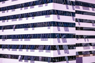 米兰体育入口-体育新闻中心建设体育数字内容版权保护体系，体育数据新闻